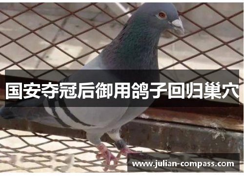 国安夺冠后御用鸽子回归巢穴